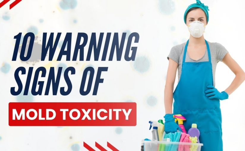 What are the 10 Warning Signs of Mold Toxicity?