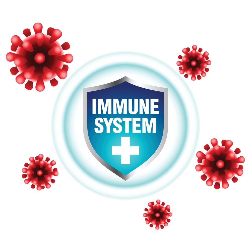 Immune System Suppression