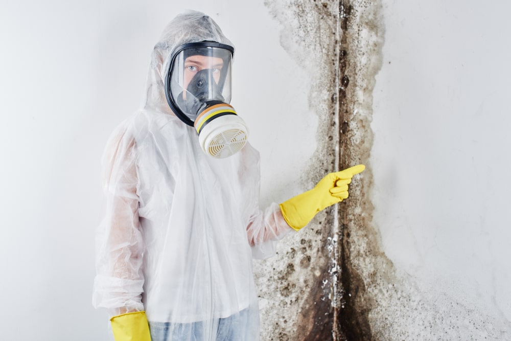 Ways To Prevent Mold Toxicity